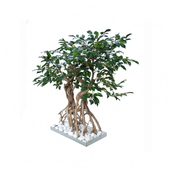 Planta semi-artificiala Ila, Ficus Retusa Root Bonsai